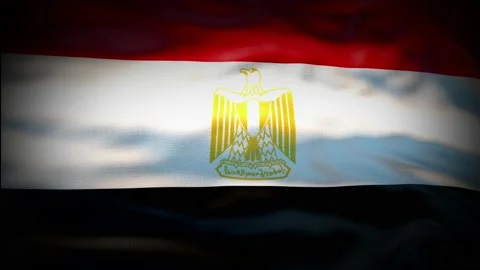 Animation Egypt flag is waving seamless loop. Egypt flag waving in the wind Stock Footage 164269901