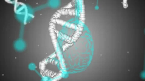 Animation of elements, brains, dna strands and data processing on dark Stock Footage 313589131
