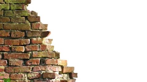 Animation Of Empty Brick Wall On White Background Stockbeeldmateriaal 202131621