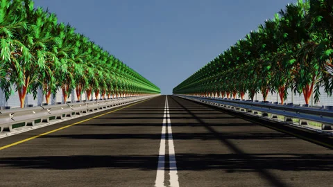 Animation of an empty road with trees. moving forward on a road in summer Stock-Footage 265504936