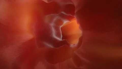 Animation of a Enteroscopy of the human intestines Stock Footage 136234105