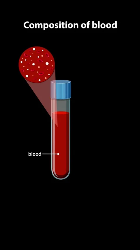Animation Explaining Human Blood Composition and Centrifugation Process Stock Footage 339843276