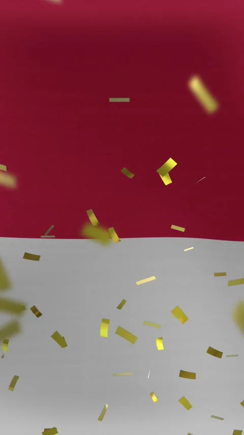 Animation of exploding confetti over waving flag of monaco in background Stock-Footage 344678873