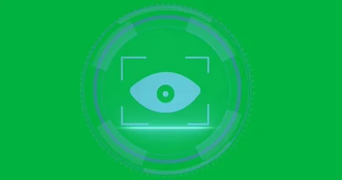 Animation of eye scanning in circle and cyber security on transparent background Stock Footage 318338178