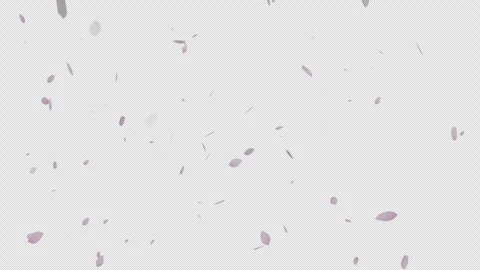Animation of falling cherry leaves Stock Footage 281001983