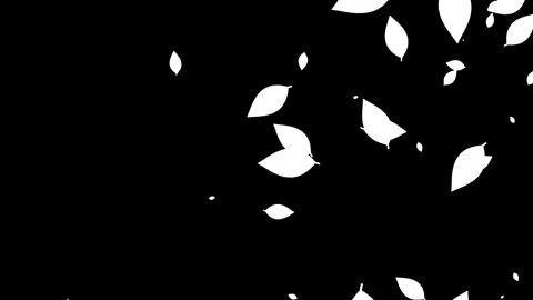 Animation of falling leaves on black background. Stock Footage 338319989