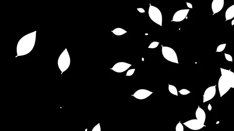 Animation of falling leaves on black background. Stock Footage 338319990