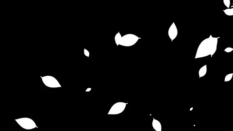 Animation of falling leaves on black background. Stock Footage 338319991
