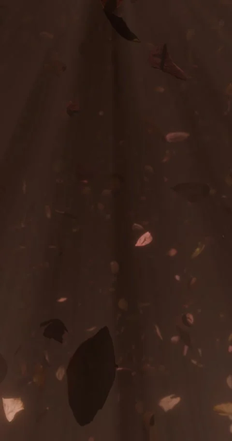 Animation of falling leaves in slow-motion, perfect for creating visual eff.. Stock Footage 287331457