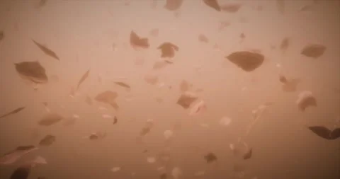 Animation of falling leaves in slow-motion, perfect for creating visual eff.. Stock Footage 287331466