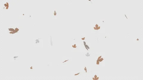 Animation of falling maple leaves Stock Footage 281003090