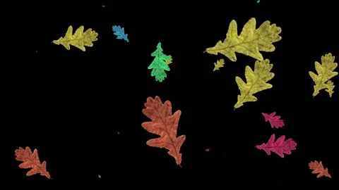 Animation of falling oak leaves on a black background. Autumn season concept. 库存影片 141946746