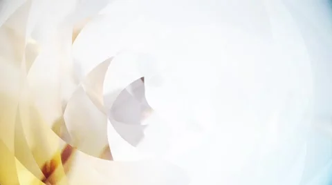 Animation with feathers - rotating patterns and reflections effect - Full HD Stock Footage 50496458