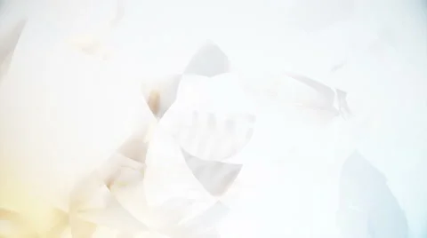 Animation with feathers - rotating patterns and reflections effect - Full HD Stock Footage 50496478