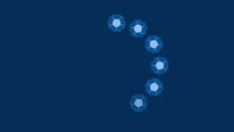 Animation featuring round flower frames appearing one by one Stock Footage 308169342