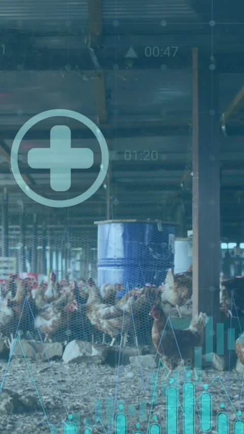 Animation of financial data processing and icons over caucasian man feeding Vídeo Stock 342608759