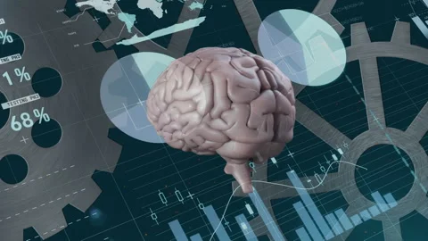 Animation of financial data processing over human brain and cogs spinning on Stock Footage 150943869