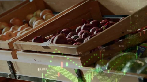 Animation of financial data processing over boxes with vegetables in shop Stock Footage 309599153