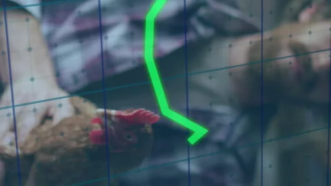 Animation of financial data processing over caucasian man holding chicken Stock Footage 312300480