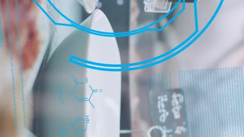 Animation of financial data processing over plates with food Видео 312504337