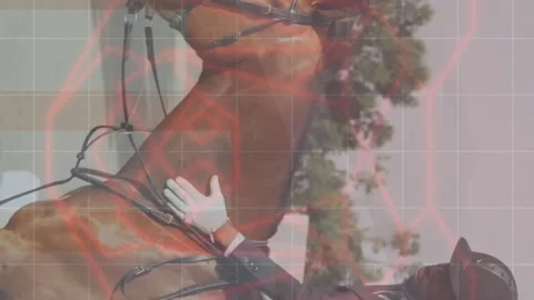 Animation of financial data processing over caucasian man horse riding Stockbeeldmateriaal 312673490