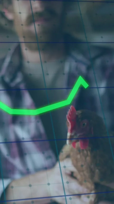 Animation of financial data processing over caucasian man holding chicken Stock Footage 323910136