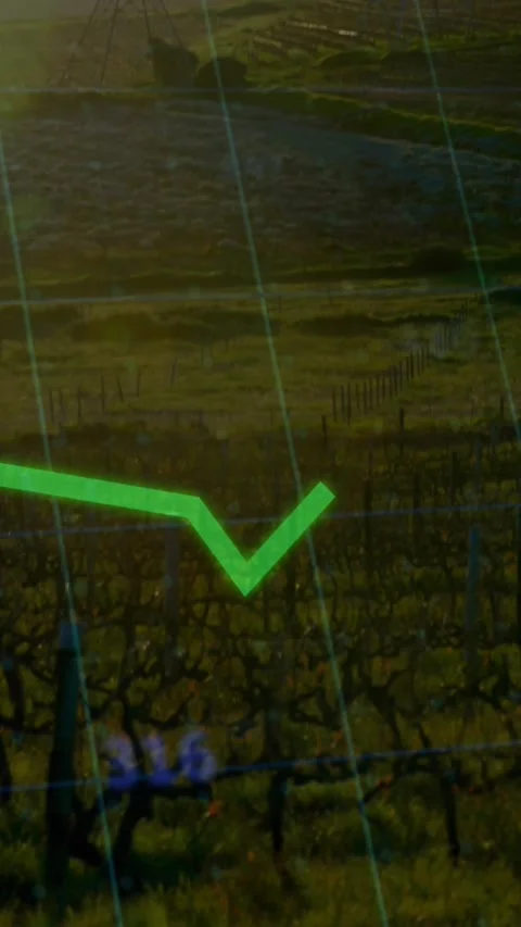 Animation of financial data processing over electricity pylons Stock Footage 342010007
