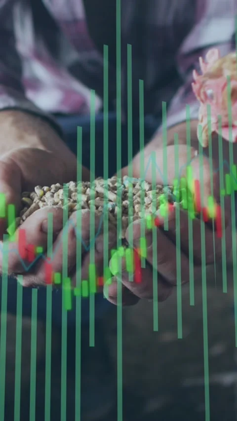 Animation of financial data processing over caucasian man feeding chickens Vídeo Stock 342594614