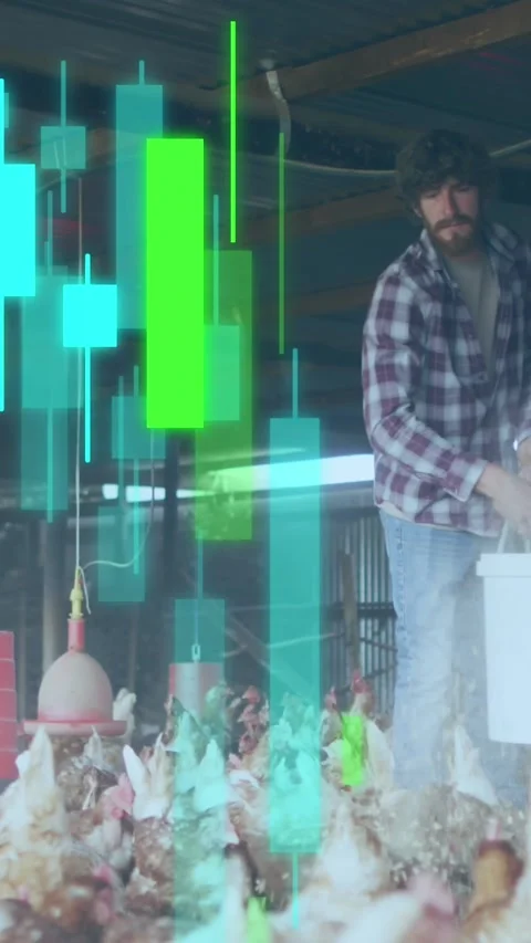 Animation of financial data processing over caucasian man feeding chickens Vídeo Stock 342608727