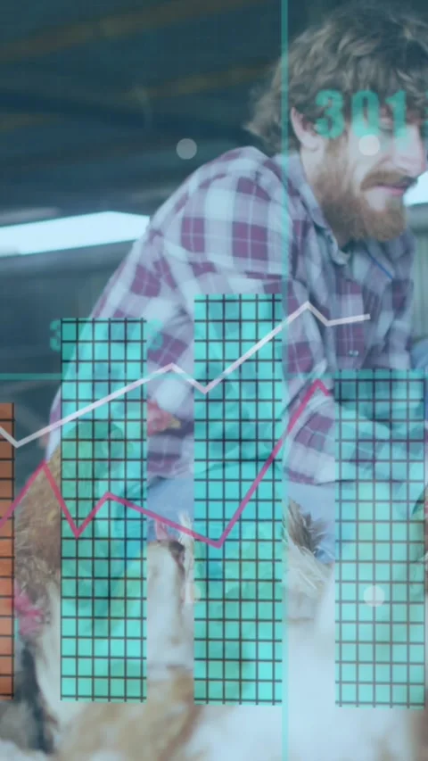 Animation of financial data processing over caucasian man feeding chickens Vídeo Stock 342608770