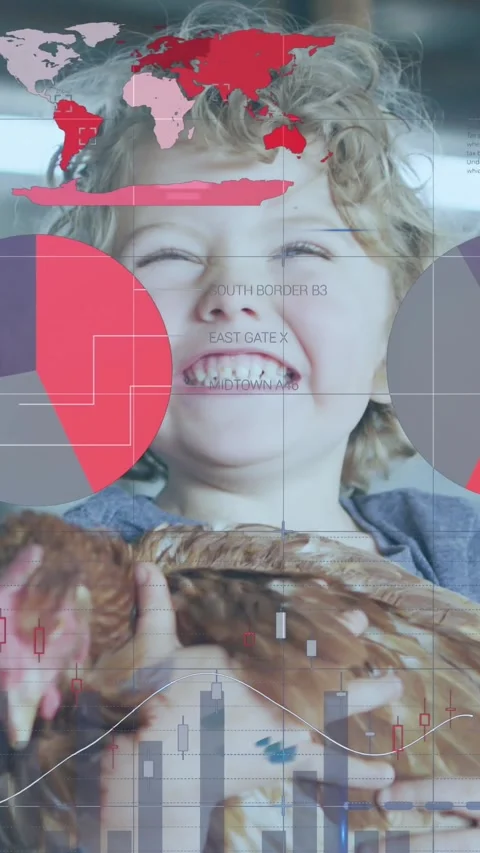 Animation of financial data processing over caucasian boy holding chicken Vídeo Stock 342608829
