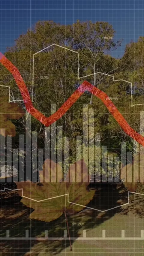 Animation of financial data processing over falling leaves and park Stock Footage 344636048