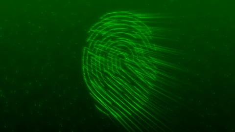 Animation of a fingerprint scanning for security or identification Stock Footage 331915885