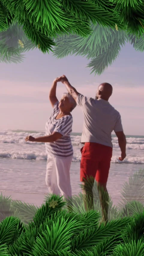 Animation of fir tree frame over happy diverse senior couple danging on beach Vídeo Stock 343545384