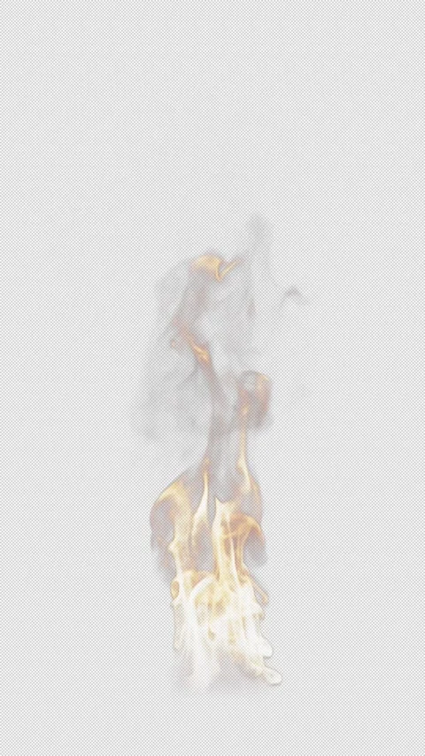 Animation of fire burning. File contains Alpha Channel. 스톡 동영상 308075473