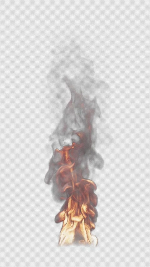 Animation of fire burning. File contains Alpha Channel. Stock Footage 308740041
