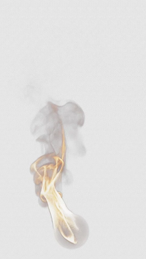 Animation of fire burning. File contains Alpha Channel. Stock Footage 309334810