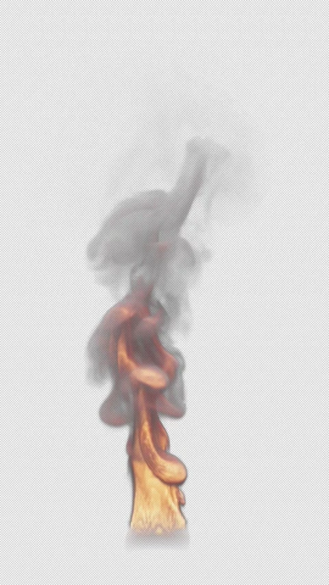Animation of fire burning. File contains Alpha Channel. Stock Footage 310794451