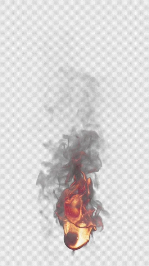 Animation of fire burning. File contains Alpha Channel. Video stock 312110271