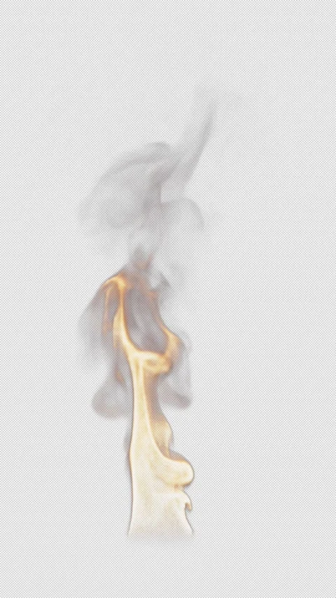 Animation of fire burning. File contains Alpha Channel. Video stock 312110338