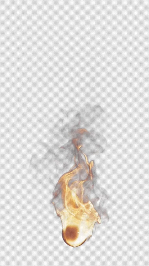 Animation of fire burning. File contains Alpha Channel. Stock Footage 314044103