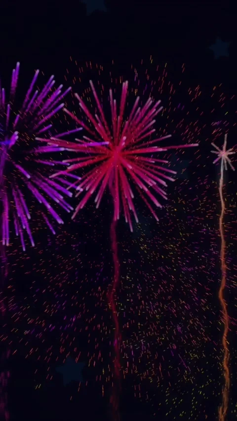 Animation of fireworks exploding on black background Vídeos de archivo 343615586