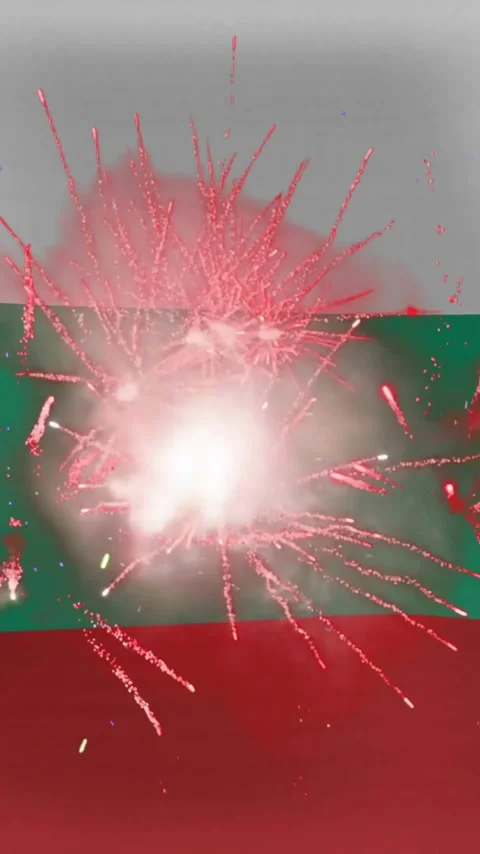 Animation of fireworks exploding over flag of bulgaria Video stock 343824323