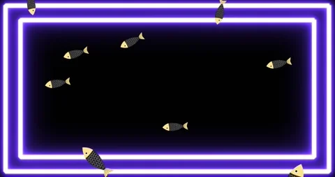 Animation of fish falling over black background with neon frame Stock Footage 330402526