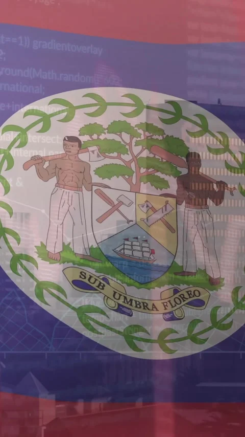 Animation of flag of belize with data processing over cityscape Stock Footage 342996854
