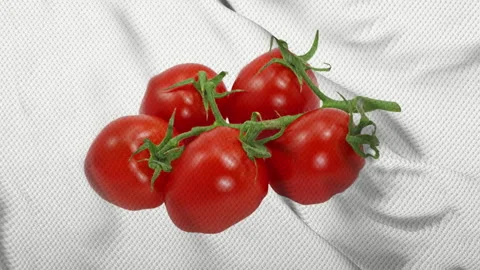 Animation of a flag with red tomatoes waving with cotton texture Vídeo Stock 171160153