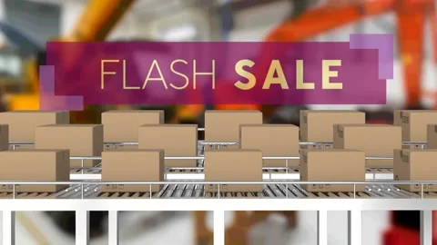 Animation of flash sale text over cardboard boxes on conveyor belts in warehouse Video stock 157344360