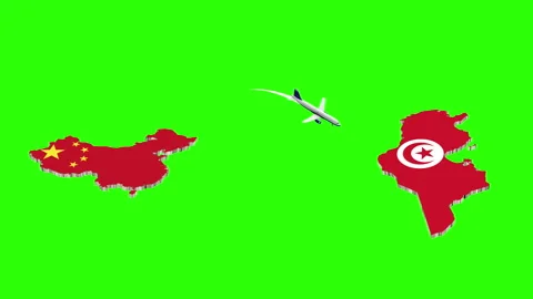 Animation  Of Flight From CHINA To TUNISIA Stock Footage 295785941