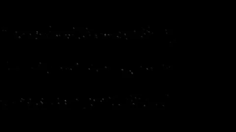 Animation floating of air bubbles quickly appearing, 4k, loop Stock Footage 276324834