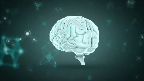 Animation of floating brain with abstract shapes and glowing elements around it Stock Footage 303420867